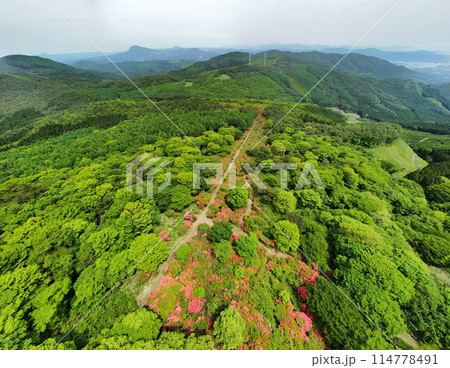 徳仙丈山のツツジ　空撮 114778491