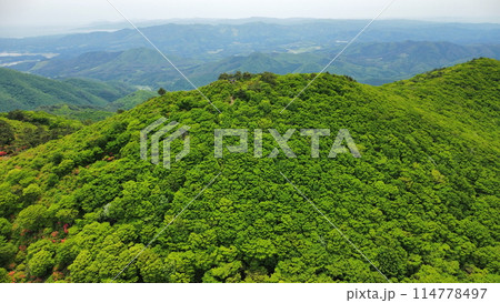 徳仙丈山のツツジ　空撮 114778497