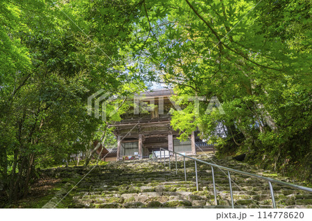 新緑の京都　高雄山神護寺　楼門 114778620