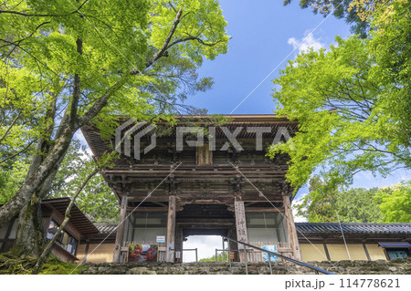 新緑の京都 高雄山神護寺 楼門 新緑の京都 高雄山神護寺 楼門 114778621