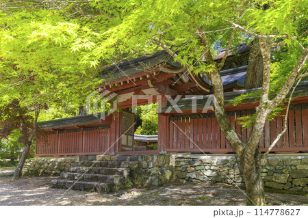 新緑の京都 高雄山神護寺 和気公霊廟 新緑の京都 高雄山神護寺 和気公霊廟 114778627