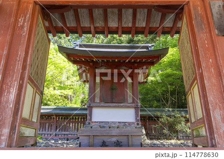 新緑の京都 高雄山神護寺 和気公霊廟 新緑の京都 高雄山神護寺 和気公霊廟 114778630