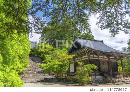 新緑の京都 神護寺 金堂へ向かう長い石段 新緑の京都 神護寺 金堂へ向かう長い石段 114778637