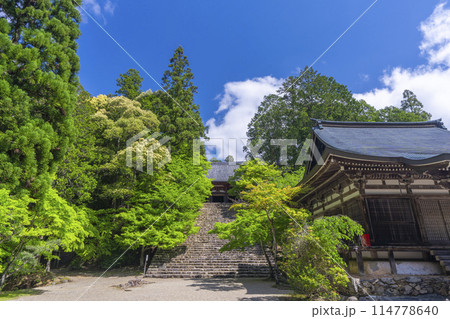 新緑の京都 神護寺 金堂へ向かう長い石段 新緑の京都 神護寺 金堂へ向かう長い石段 114778640