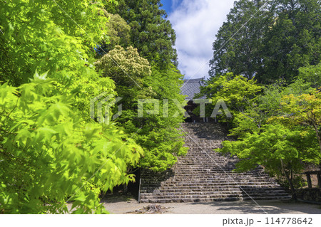 新緑の京都　神護寺　金堂へ向かう長い石段 114778642