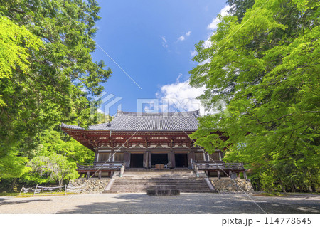 新緑の京都 神護寺 金堂 新緑の京都 神護寺 金堂 114778645
