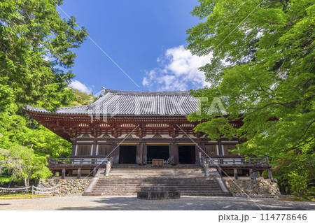 新緑の京都 神護寺 金堂 新緑の京都 神護寺 金堂 114778646