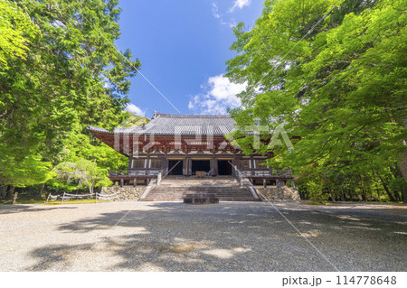 新緑の京都　神護寺　金堂へ向かう長い石段 114778648