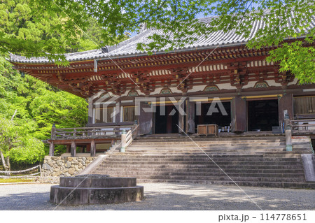 新緑の京都　神護寺　金堂 114778651