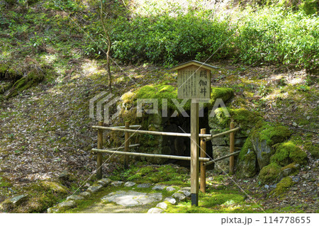 新緑の京都　神護寺　閼伽井 114778655