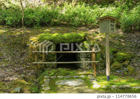 新緑の京都　神護寺　閼伽井 114778656