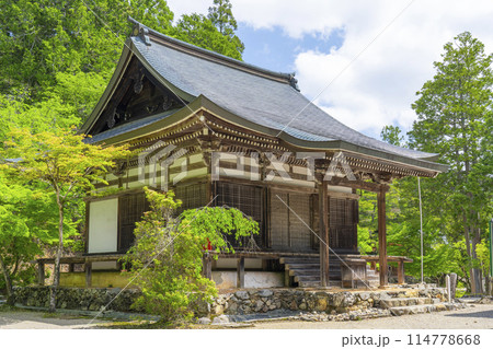 新緑の京都　神護寺　五大堂 114778668