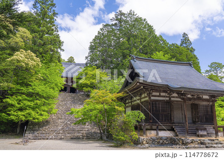 新緑の京都　神護寺　金堂へ向かう長い石段 114778672