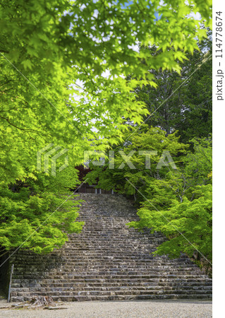 新緑の京都　神護寺　金堂へ向かう長い石段 114778674