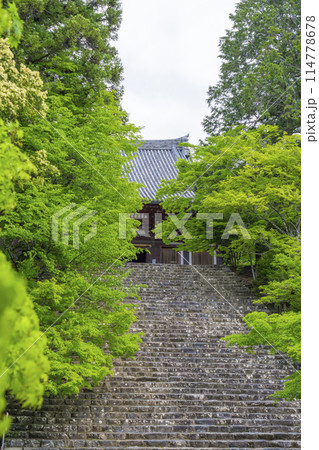 新緑の京都 神護寺 金堂へ向かう長い石段 新緑の京都 神護寺 金堂へ向かう長い石段 114778678