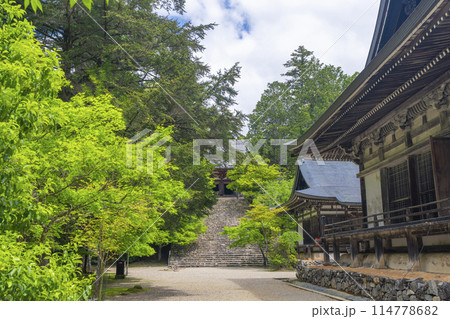 新緑の京都　神護寺　金堂へ向かう長い石段 114778682