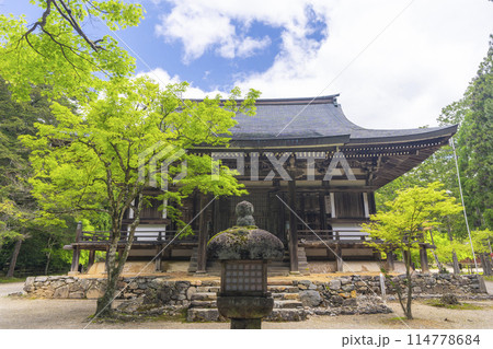 新緑の京都　神護寺　毘沙門堂 114778684