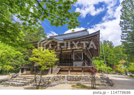 新緑の京都 神護寺 毘沙門堂 新緑の京都 神護寺 毘沙門堂 114778686