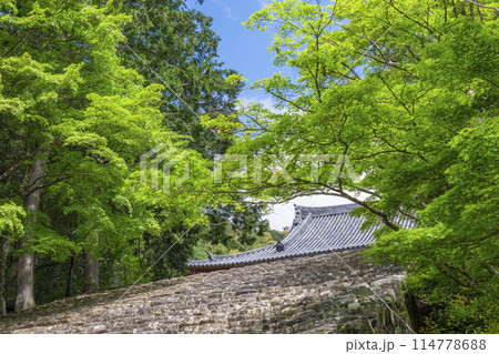 新緑の京都　神護寺　金堂へ向かう長い石段 114778688