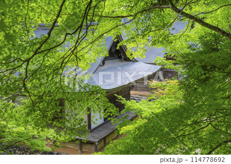 新緑の京都　神護寺　五大堂と毘沙門堂 114778692