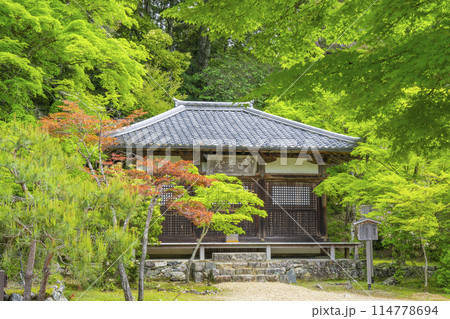 新緑の京都 神護寺 明王堂 新緑の京都 神護寺 明王堂 114778694