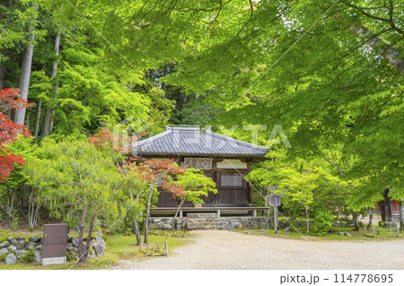 新緑の京都　神護寺　明王堂 114778695