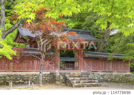 新緑の京都 高雄山神護寺 和気公霊廟 新緑の京都 高雄山神護寺 和気公霊廟 114778696