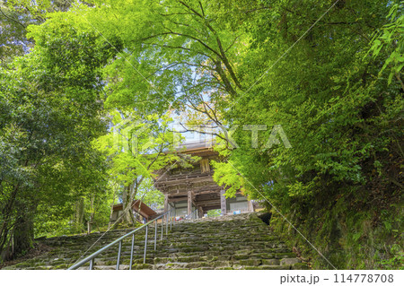 新緑の京都 高雄山神護寺 楼門 新緑の京都 高雄山神護寺 楼門 114778708