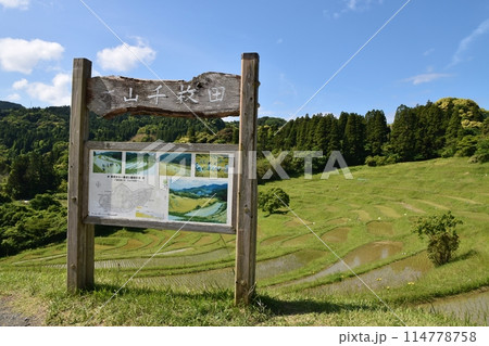 田植え直後の大山千枚田　千葉 114778758