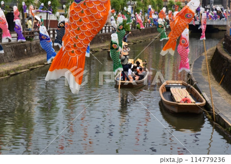 晴天のうずまの鯉のぼり 栃木 晴天のうずまの鯉のぼり 栃木 114779236