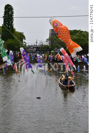 晴天のうずまの鯉のぼり　栃木 114779241
