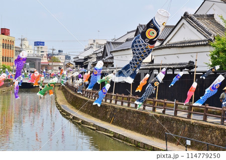 晴天のうずまの鯉のぼり 栃木 晴天のうずまの鯉のぼり 栃木 114779250