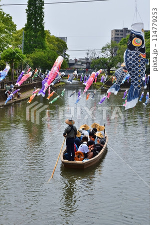 晴天のうずまの鯉のぼり 栃木 晴天のうずまの鯉のぼり 栃木 114779253