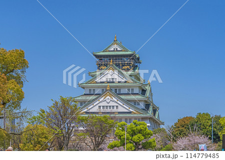【桜】春の大阪城公園【大阪城天守閣】 【桜】春の大阪城公園【大阪城天守閣】 114779485
