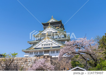 【桜】春の大阪城公園【大阪城天守閣】 114779497