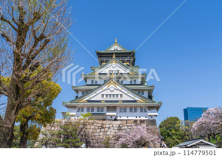 【桜】春の大阪城公園【大阪城天守閣】 114779501