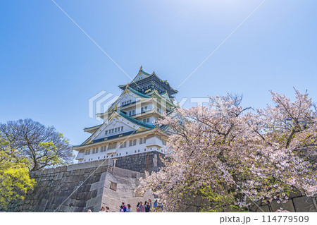 【桜】春の大阪城公園【大阪城天守閣】 【桜】春の大阪城公園【大阪城天守閣】 114779509