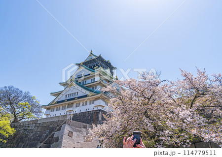 【桜】春の大阪城公園【大阪城天守閣】 114779511