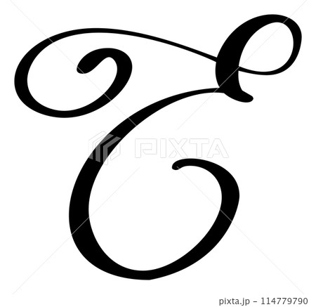Hand drawn vector calligraphy letter E. Script font logo. Handwritten brush style flourish 114779790