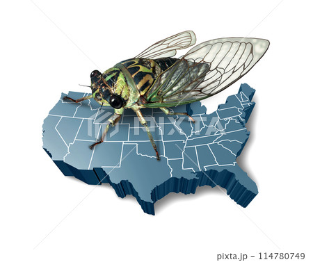 Cicadas Emerging In The US Cicadas Emerging In The US 114780749