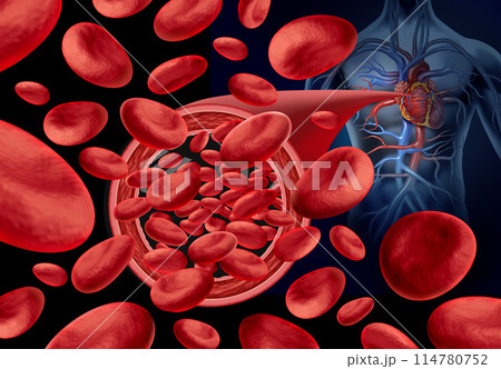 Normal Artery Blood Flow 114780752