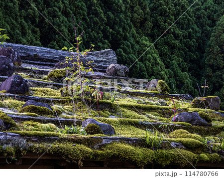 一条谷朝倉氏遺跡の景色 一条谷朝倉氏遺跡の景色 114780766