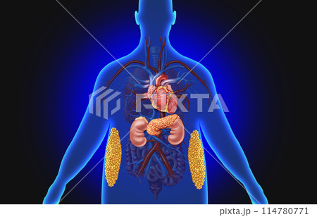 multisystem disorder 114780771