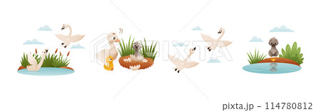 Ugly Duckling Fairy Tale with Little Birdie Vector Set Ugly Duckling Fairy Tale with Little Birdie Vector Set 114780812