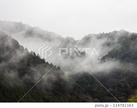 木曽福島の景色 114781163