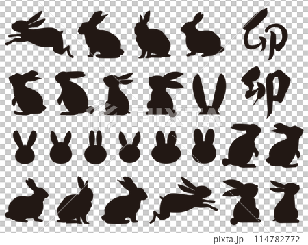 Rabbit Rabbit 114782772