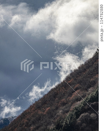 木曽福島の景色 114782880