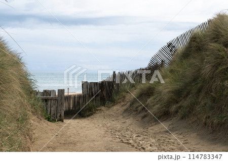 Utah Beach in Normandy, France wood sea fence, grass and sand dunes. Sunny sky light ble clouds. Ammophila arenaria grass on sandy dunes. High quality photo Utah Beach in Normandy, France wood sea fence, grass and sand dunes. Sunny sky light ble clouds. Ammophila arenaria grass on sandy dunes. High quality photo 114783347