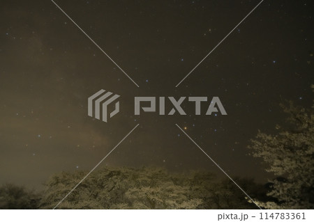北杜市武川町真原の桜並木の上のさそり座 北杜市武川町真原の桜並木の上のさそり座 114783361