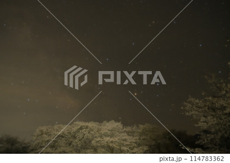 北杜市武川町真原の桜並木の上のさそり座 114783362